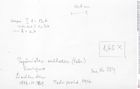 Historisches Foto (Rückseite) von Discutiolira moesica (Muţiu & Bădăluţă, 1971) (NHMW-AFW-GEO-BACHMAYER-FOTO-1990-0041-0324)